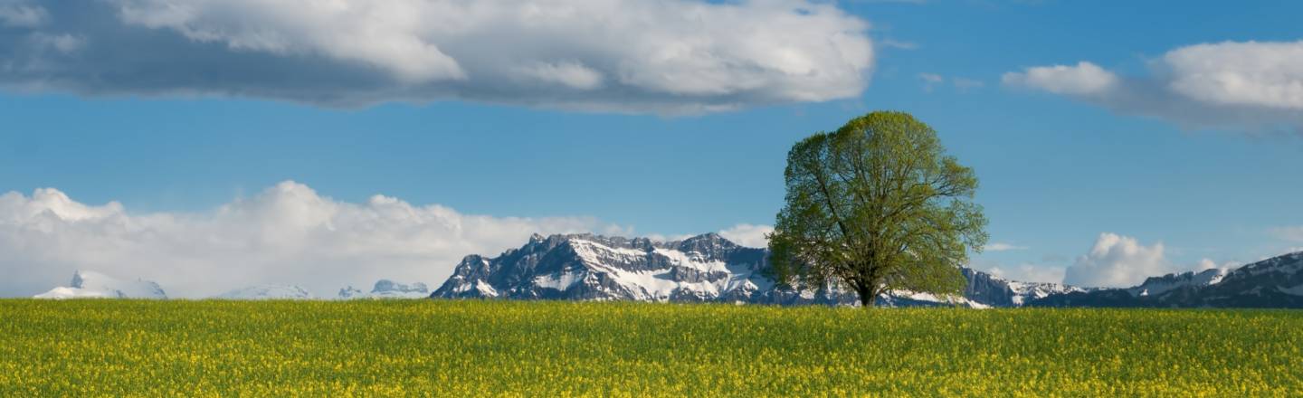 Sonnenklar Tv Reiseburo Der Kleine Nachbar Ganz Gross Die Vielseitigkeit Der Schweiz Erleben