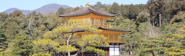 Bonsai - Japan Rundreise