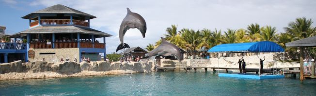 Der Ocean World Adventure Park in Porto Plata