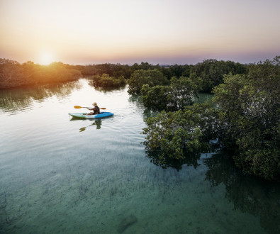 Kayaking at Jubail Mangrove Park 